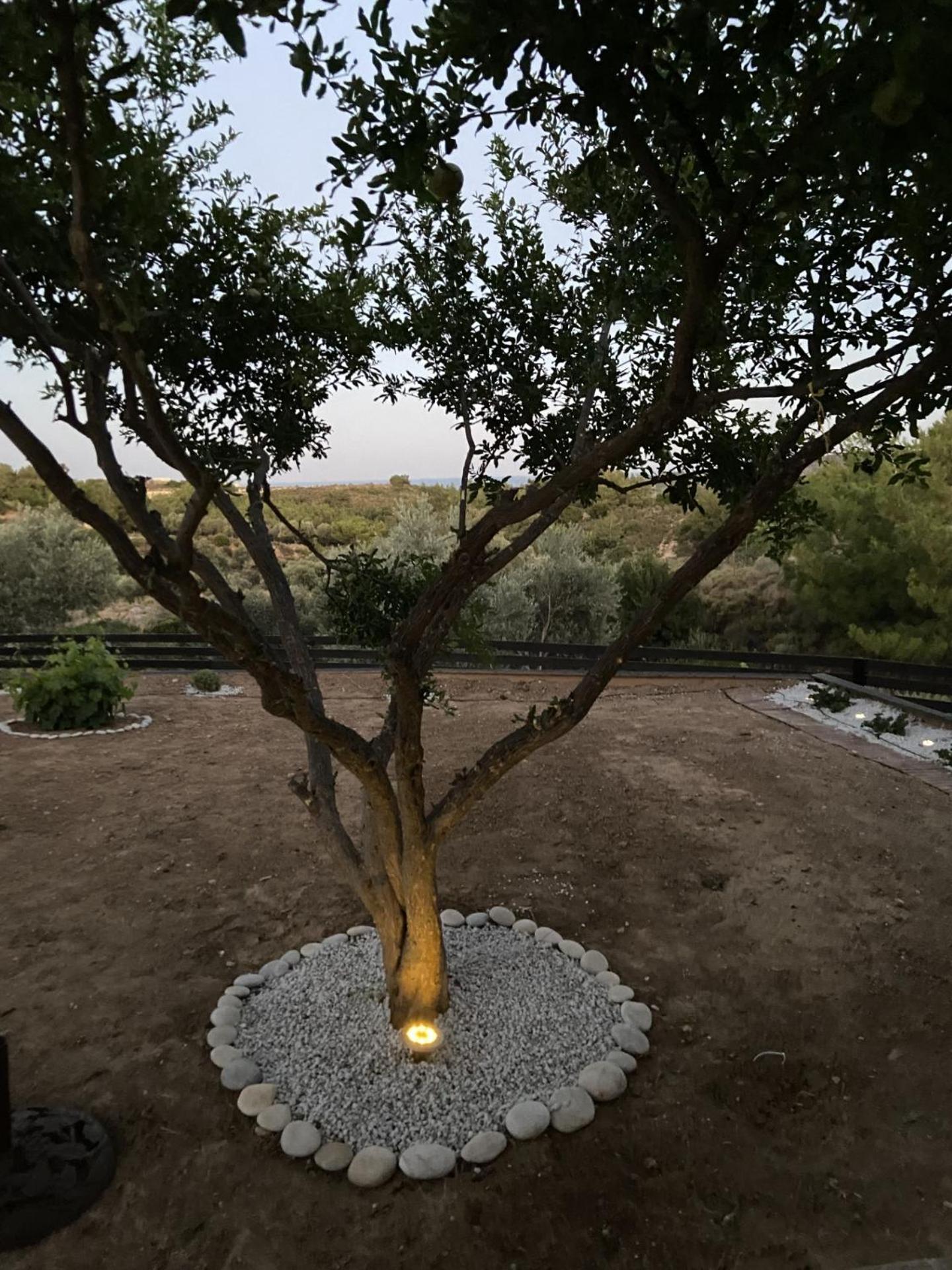 Aspri Petra Rhodes Villa *